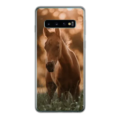 Produktbild von MuchoWow® Handyhülle Schutzhülle Hülle für Samsung Galaxy S10 Pferd - Licht - Landschaft Silikon Softcase Handy Hülle - Handytasche