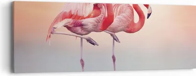 Produktbild von Bild auf Leinwand - Leinwandbild - Einteilig - Flamingos Exotik Vögel - 90x30cm - Wand Bild - Wanddeko - Wandbilder - Leinwanddruck - Bilder - Wanddekoration - Leinwand bilder - AB90x30-5044