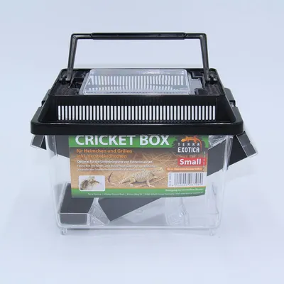 Produktbild von Cricket Box - 18 x 11 x 14 cm - Small