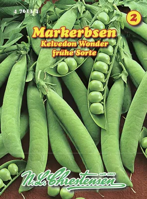 Produktbild von Markerbse Kelvedon Wonder | Markerbsensamen von N.L. Chrestensen