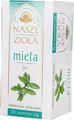 Produktbild von NATURA-WITA Minze fix 20*1,5g