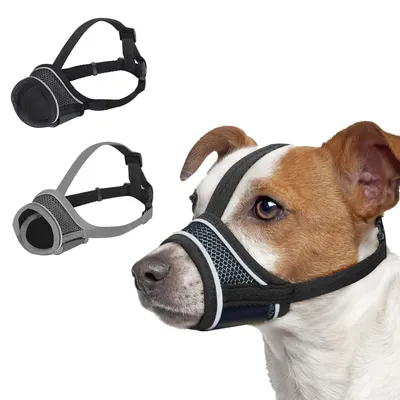 Immagine prodotto di Solidchoice - Set di 2 museruole per cani