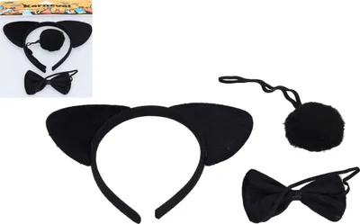 Immagine prodotto di Set carnevale - orso