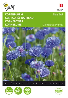 Obrázok produktu pre Chrpa Blue Ball plnokvetá | Semená chrpy od Buzzy Seeds