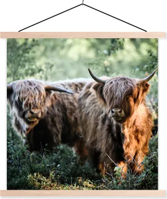 Produktbild von MuchoWow® Textilposter Schottische Hochlandrind - Wald - Tiere 60x60 cm mit holzfarbenen Rahmen - Wanddekoration
