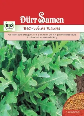 Produktbild von Wilde Rauke | -Wilde Raukensamen von Dürr Samen