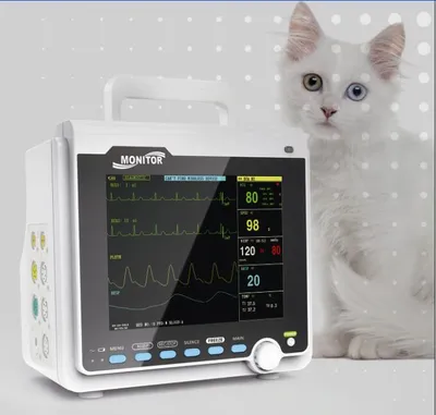 Immagine prodotto di CMS6000 Monitor portatile per pazienti veterinari 6 parametri Macchina veterinaria Dispositivo medico per segni vitali ICU