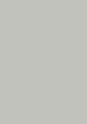 Produktbild von BRUNNEN Universalpapier 80g grau