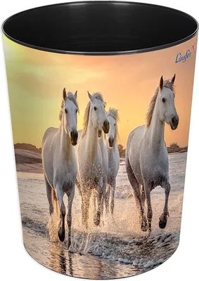 Obrázek produktu pro Runner 26666 Koš na odpadky Koně na pláži, 13 l, Ø 30 cm, kulatý