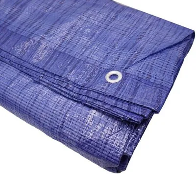 Productafbeelding van Waterdichte Tarpaulin 4 x 6 m met Oogjes