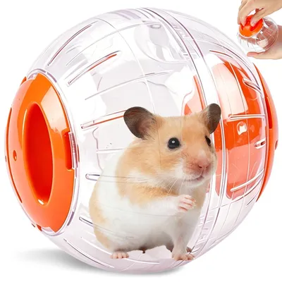 Productafbeelding van Hamsterbal - Oefenbal - 12 cm - Oranje