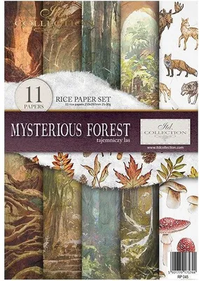 Produktbild von Reispapier-Set A4 – RP045 Mysterious Forest – ITD Collection