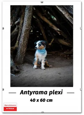 Produktbild von M-Interio Plexi Posterrahmen 40x60 cm für Bilder und Fotos