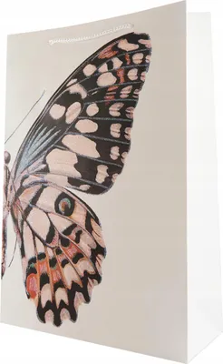 Produktbild von Geschenktüte Schmetterling 31x44cm - Bunt & Verspielt - Große Papiertasche