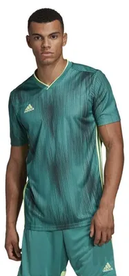 Produktbild von Adidas - "Tiro 19" Fußball Trikot für Herren PP711 (XS) (Grün)