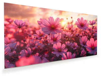 Produktbild von Glasbild 80x40cm in XXL für Wohnzimmer, Schlafzimmer Motiv Blumenfeld Sonnenuntergang