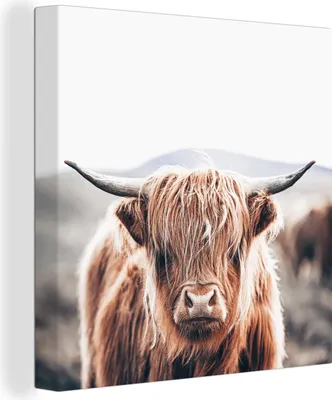 Produktbild von MuchoWow® - Leinwandbilder - Schottischer Highlander - Berg - Hoorn, Wandbild, Wanddeko Bilder Wohnzimmer, 50x50 cm
