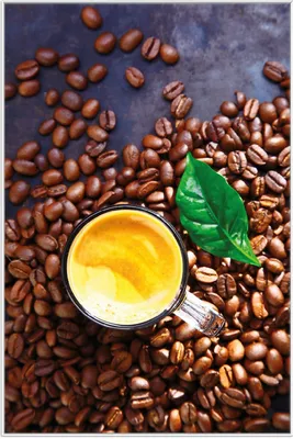 Produktbild von Wallario Wandbild Kaffee und Bohnen, Größe: 61 x 91,50 cm, Poster mit weißem Aluminiumrahmen