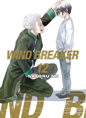 Produktbild von Wind Breaker 12