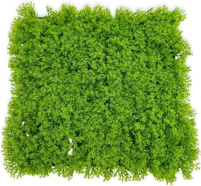 Obrázek produktu pro BioPlant pozadí Umělá podložka Modulární pozadí pro terária Světlo Lišejník 25x25cm