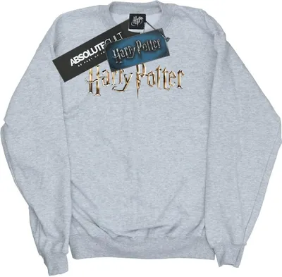 Produktbild von Harry Potter - Sweatshirt für Herren BI48745 (L) (Grau)