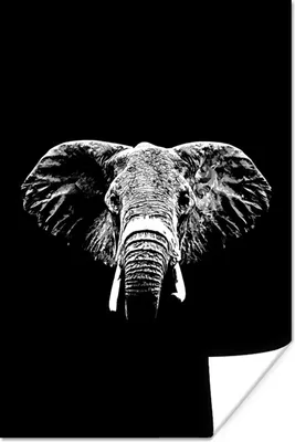 Produktbild von MuchoWow® Poster Elefant mit abstrakten Elementen vor schwarzem Hintergrund - schwarz und weiß 20x30 cm - Papierdruck