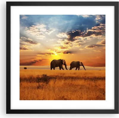 Produktbild von Gerahmtes Poster - Schwarzer Rahmen - Elefanten Safari Dschungel Busch - 40x40 cm - Wand Bild - Wanddeko - Wandbilder - Wandposter - Bilderrahmen - Bilder - Kunstdruck - Wandbild - P2BAC40x40-3150