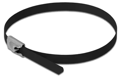Obrázok produktu pre DeLOCK 18810, Oceľ, Čierna, 300 mm, 4,6 mm, 10 kusov