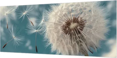 Produktbild von Wandtapete - Dekorative Tapete für Wohnzimmer- Tapetenfolie für Wanddekoration - 208x146 cm - Eine leichte Ätherizität