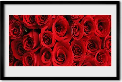 Produktbild von Bild 60x40 MDF-Rahmen Wandkunst Rosen Blumen