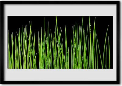 Produktbild von Bild 100x70 MDF-Rahmen Wandkunst Graspflanze