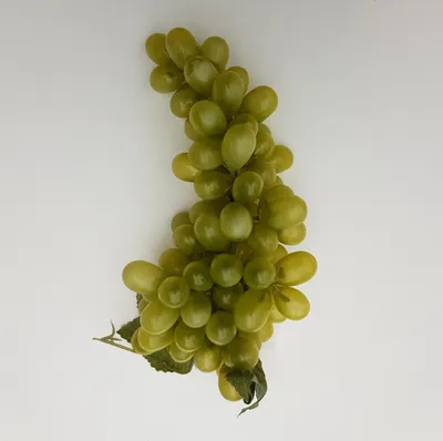 Produktbild von Deko Trauben mit Blättern 25 cm weiß
