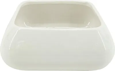 Image de Élégantes coupes de service en blanc intemporel - idéales pour les petits snacks et les accompagnements