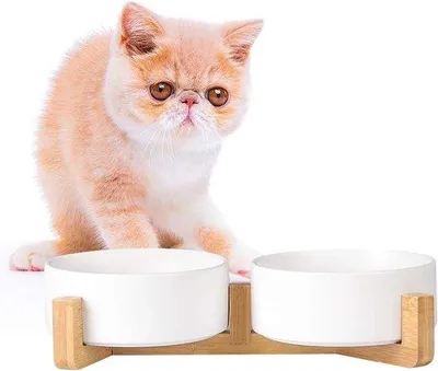 Produktbild von Famanu Hundenapfset mit Antirutsch Holzständer - Doppelnapf für Futter und Wasser - 2 Schalen - geeignet für Katzen und kleine Hunde