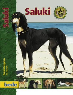 Produktbild von PraxisRatgeber Saluki