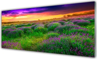 Produktbild von Glasbilder 125x50 Wandbild Druck auf Glas Wiese Natur