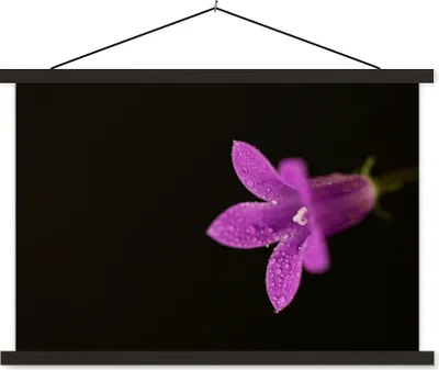 Produktbild von MuchoWow® Textilposter Eine Nahaufnahme einer lila Lilie auf schwarzem Hintergrund 150x100 cm mit schwarzem Rahmen - Schlafzimmer