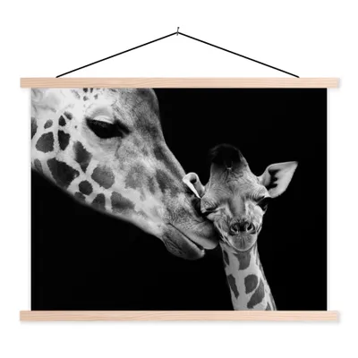 Produktbild von MuchoWow® Textilposter Tiere - Schwarz - Weiß - Giraffe - Porträt 120x90 cm mit holzfarbenen Rahmen - Magnetisch