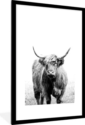 Produktbild von MuchoWow® Gerahmtes Poster Ein schottischer Highlander - schwarz und weiß 60x90 cm - Poster mit Schwarzem Bilderrahmen Wandposter Rahmen Foto Bilder - Dekoration - Wandposter Wohnzimmer - Hochwertig