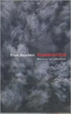 Produktbild von Stemmenstorm