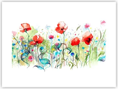 Produktbild von Poster - Poster ohne Rahmen - Blumen Wiese Blatt Natur - 40x30 cm - Wand Bild - Wanddeko - Wandbilder - Kunstposter - Wandposter - Bilder - Kunstdruck - Wanddekoration - Wandbild - P2XAA40x30-3076