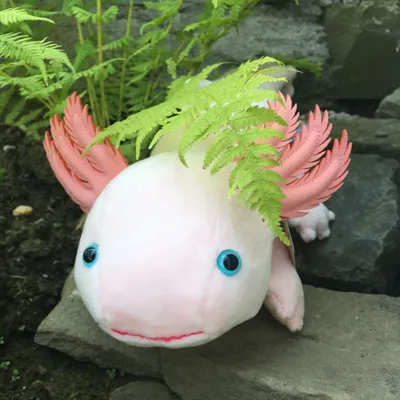 Produktbild von Kuscheltier Axolotl rosa 30 cm Plüschtier