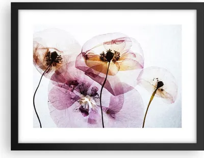Produktbild von Gerahmtes Poster - Schwarzer Rahmen - blume sommer natur - 40x30 cm - Wand Bild - Wanddeko - Wandbilder - Kunstposter - Wandposter - Bilderrahmen - Bilder - Kunstdruck - Wandbild - P2BAA40x30-3821