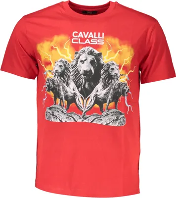 Zdjęcie produktu dla Cavalli Class Koszulki qxt60fjd060rosso020002xl, Rozmiar: 182