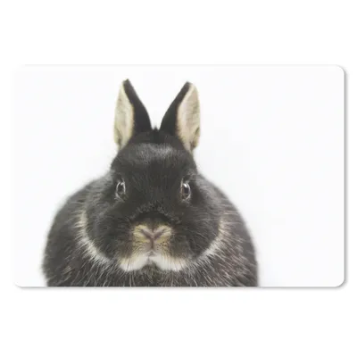Produktbild von MuchoWow® Mauspad Mousepad Kaninchen - Haustiere - Fell 27x18 cm - Mousepads - Maus Mat - Pad - Mausunterlage - Büroartikel - Desk Matten