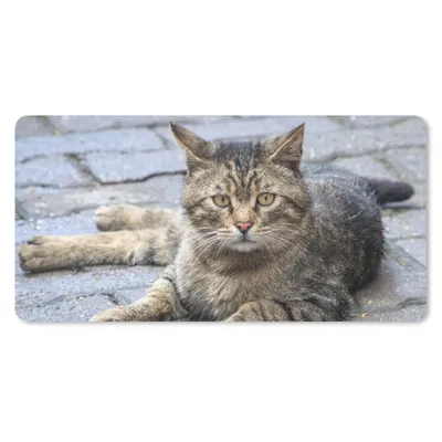 Produktbild von MuchoWow® Schreibtischunterlage Katze - Tier - Braun - Mädchen - Kinder - Jungen - Kind 80x40 cm - XXL Mauspad - Gaming Mauspad