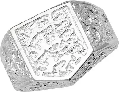 Produktbild von 925 Sterling Silber Herren - Ring, 60 (19.1); TRS35336RSS