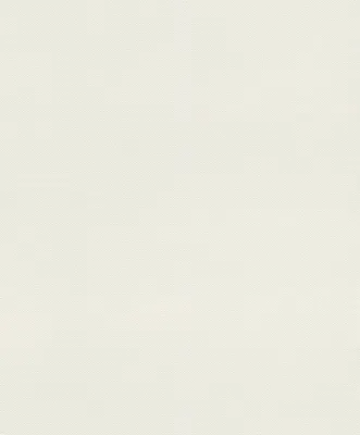 Immagine prodotto di Carta da parati in tessuto non tessuto 312324 Carta da parati a tinta unita 53 x 1005 cm Rasch Deco Style White