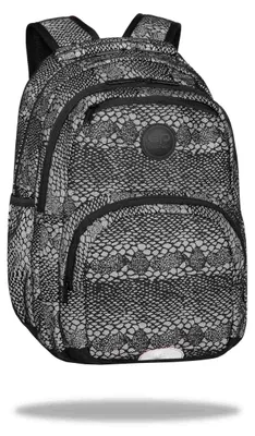 Zdjęcie produktu dla Plecak 2-komorowy Coolpack Flesh Dragon