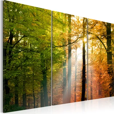 Image de Tableau mural moderne 030212- 9 (120x80) - 3 pièces Photographie sur toile intissé Photo Image Décoration Tableaux muraux Impression artistique Nature